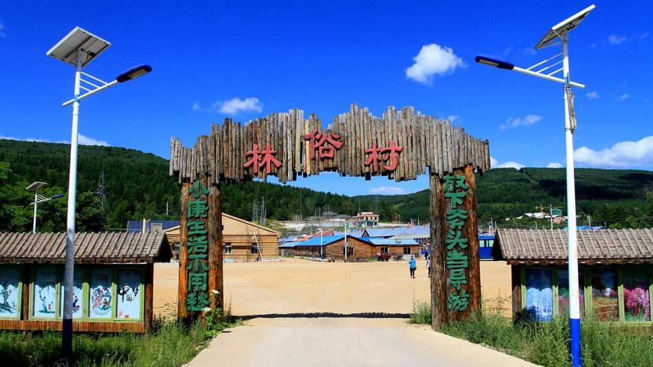 阿爾山白狼