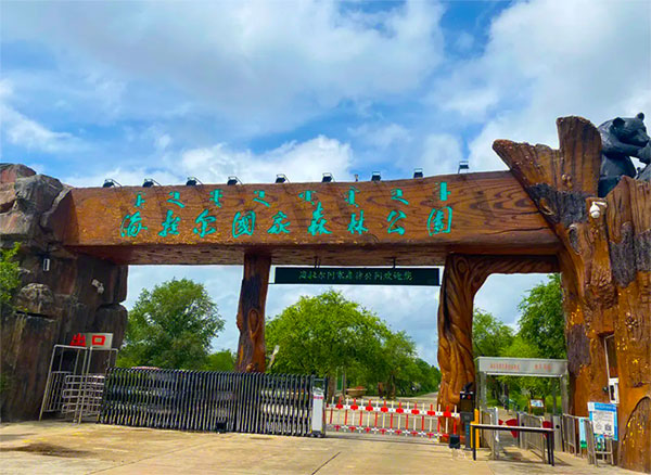 海拉爾西山樟子松國家森林公園